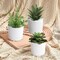 Set of 3 Artificial Succulents in White Pots – Faux Small Potted Plants for Home Decor, Office Desk, Bathroom, Shelf & Modern Tabletop Decoration